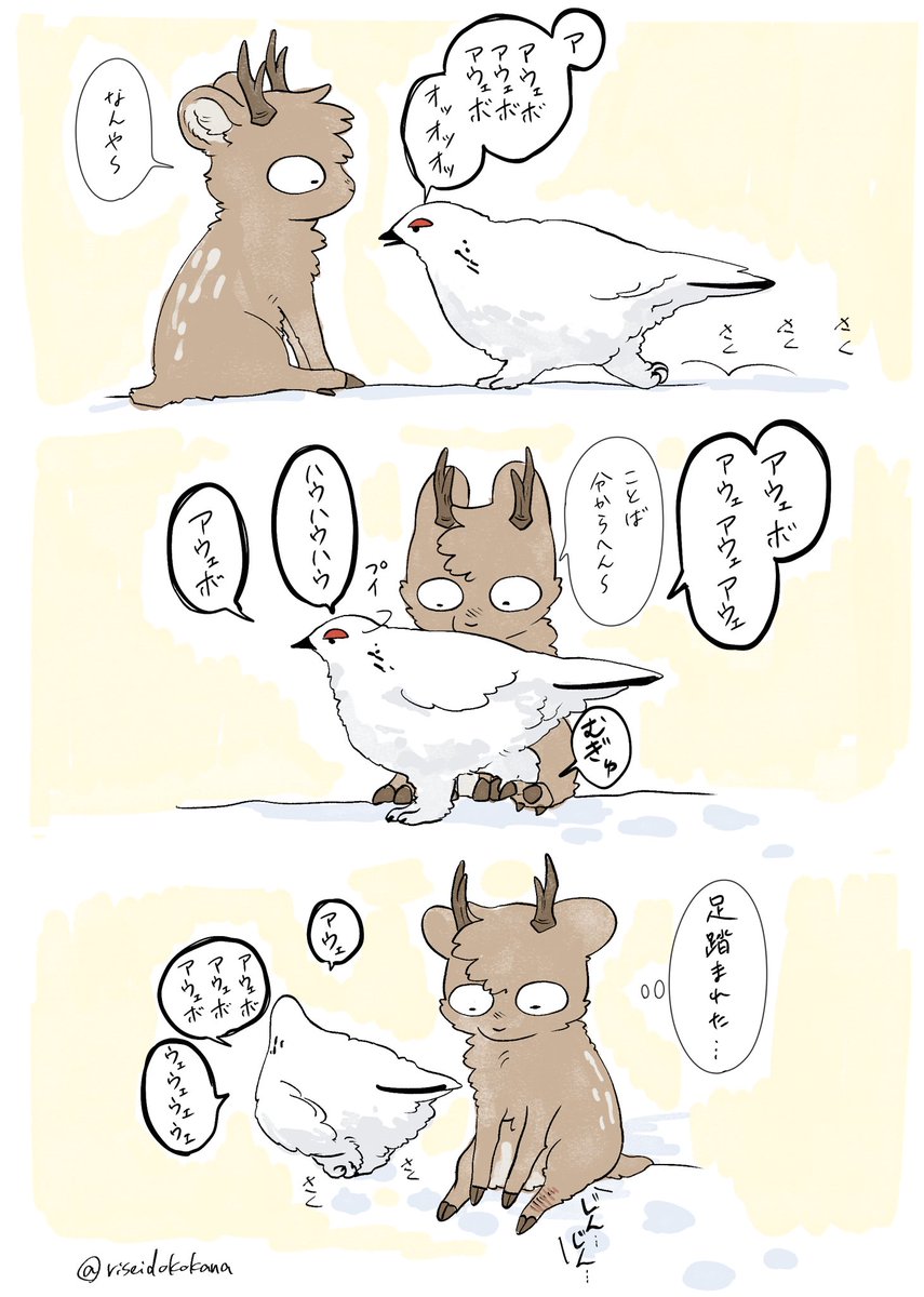 riseidokokana's tweet photo. 平然と足を踏んできそう https://t.co/pV5BgkqxCo