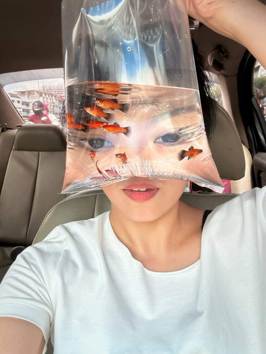 Jingyuan缘缘 tweet media