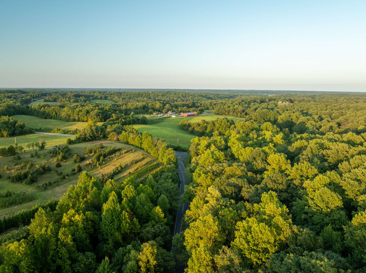 ExperiencePGC's tweet photo. There’s a quieter side of Prince George’s waiting for you. From wineries and farms to peaceful parks and scenic drives, the countryside offers a calming escape from the noise of the city. 
Come visit. Slow down. Stay awhile. https://t.co/JMUraQ39PO https://t.co/lBxOQKxsIE