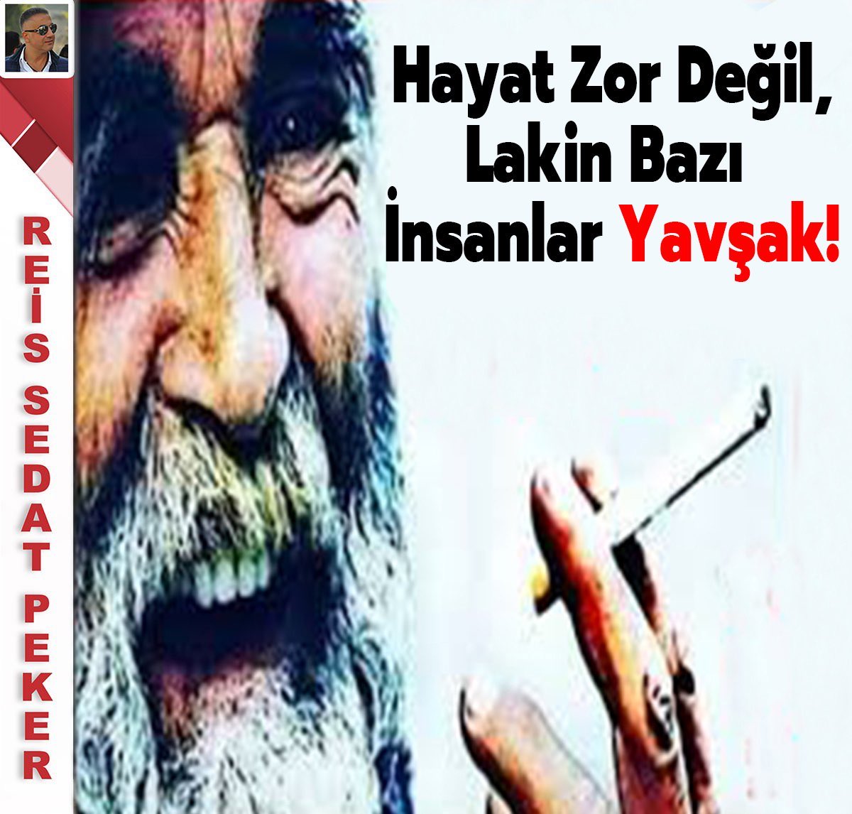 celalcanaydin🇹🇷 tweet media