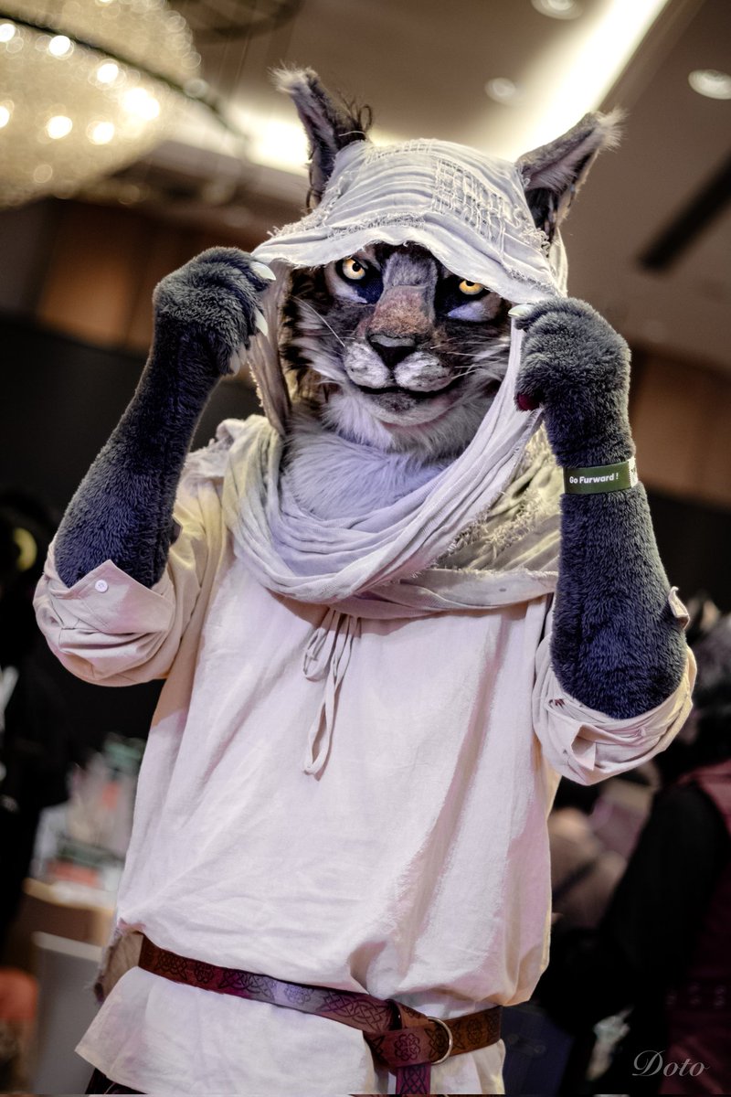 Tommy_Crash_'s tweet photo. Khajiit got the goods, if you got the coins

#fursuitfriday https://t.co/1ug8p4TDsg