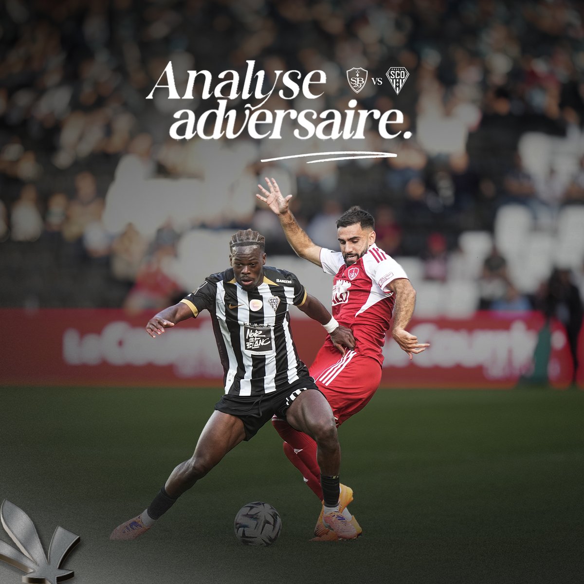 Angers SCO tweet media
