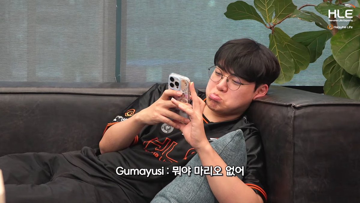 곰와방 tweet media