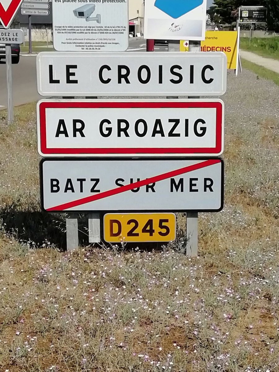 Yann Servais 𝍎𝌆 tweet media