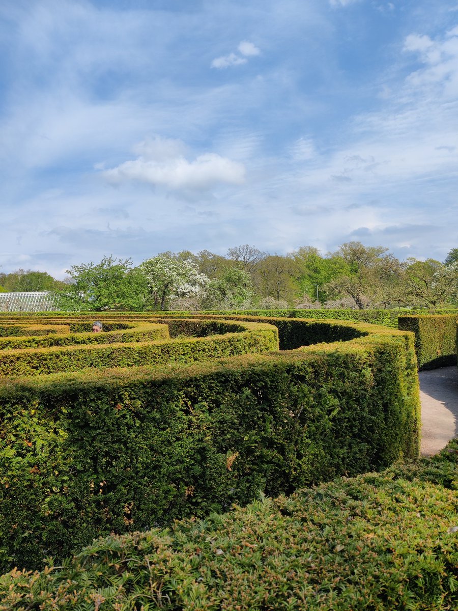 ridir_'s tweet photo. hedge maze hedge maze! https://t.co/BRg2FEcjBL