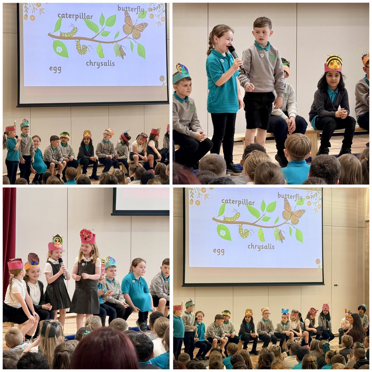Miss Scott & Room 3 tweet media
