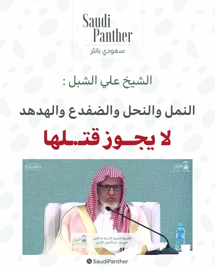 saudi panther | سعودي بانثر tweet media