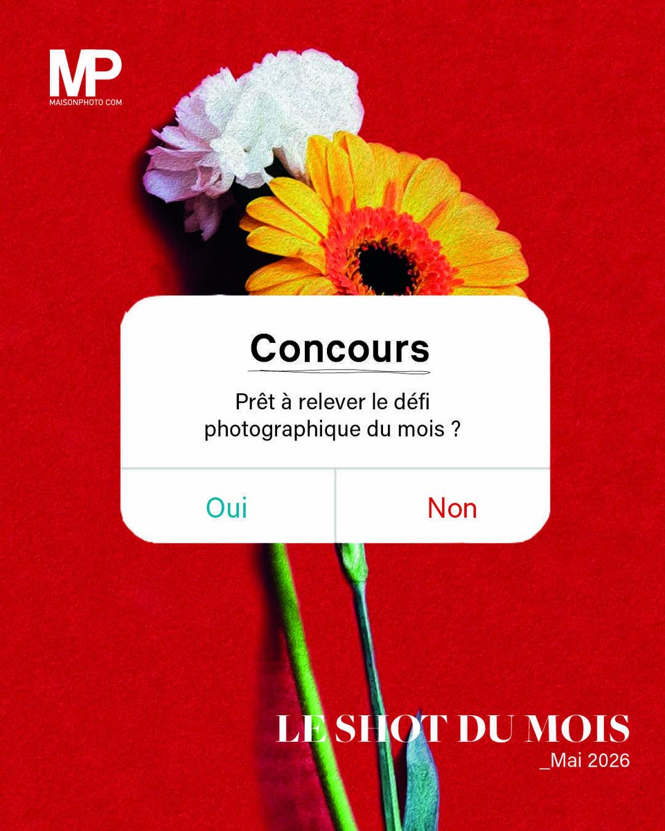 MAISONPHOTO's tweet photo. ❤️SWIPE &amp; PARTICIPE
Seconde thématique à découvrir ! https://t.co/B00yGtC4qN