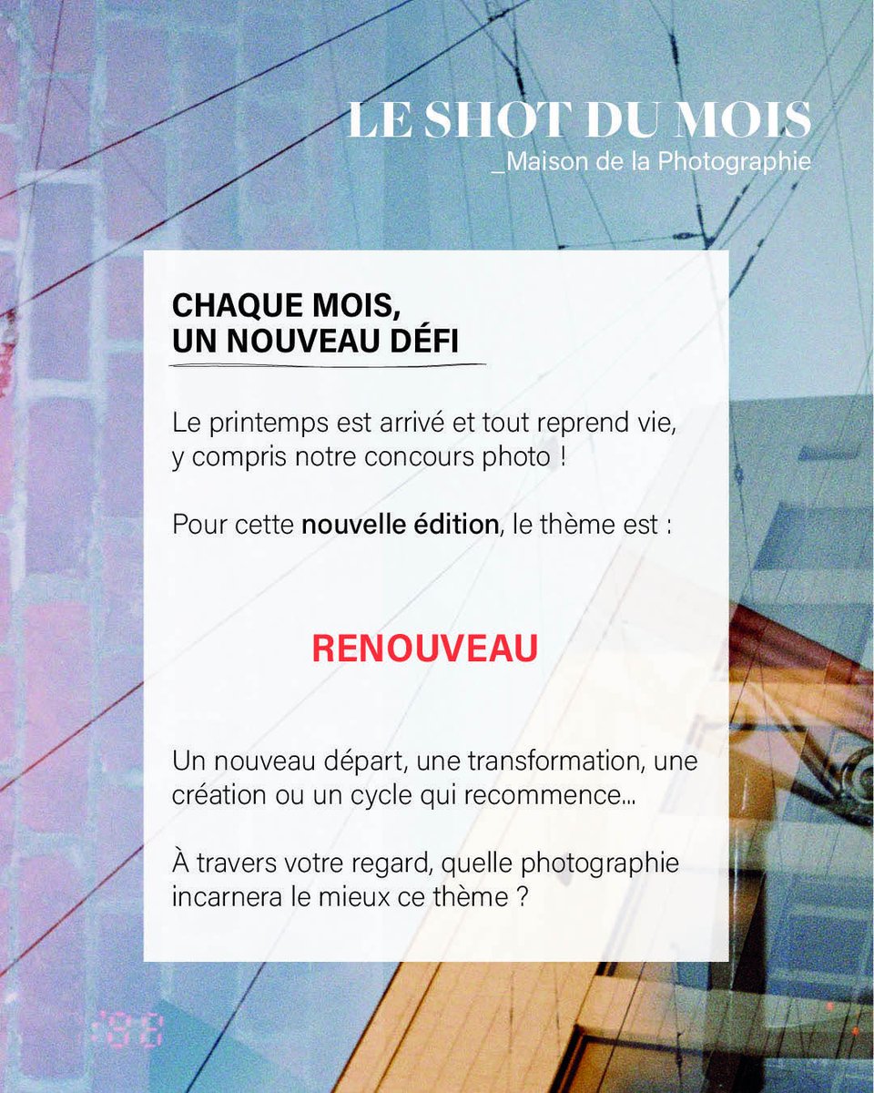 MAISONPHOTO's tweet photo. ❤️SWIPE &amp; PARTICIPE
Seconde thématique à découvrir ! https://t.co/B00yGtC4qN
