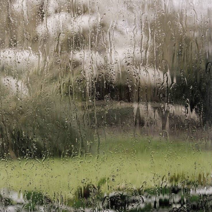 artindetails's tweet photo. favorite weather https://t.co/qUbYKUN5lL