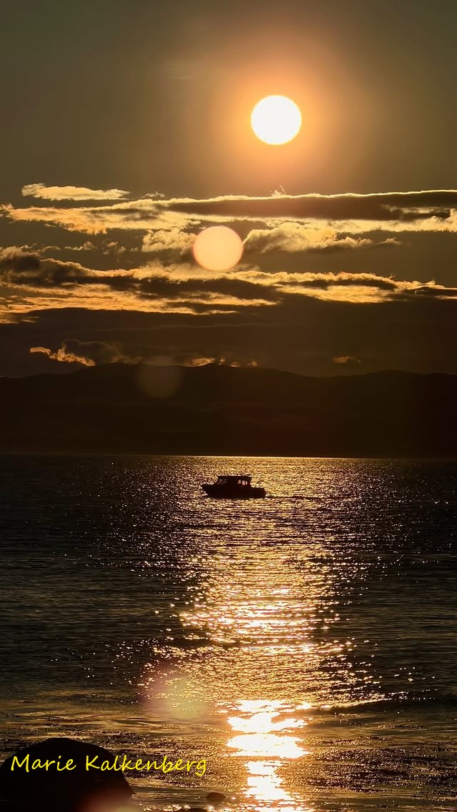 Marie Kalkenberg 🇳🇴👩👧👧🧸🌈👭🩷💜🌺 💛🖤🩶❤️ tweet media