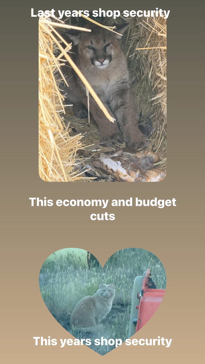 RReecenygren's tweet photo. This economy is wild lol obvious downgrade #joke #truestory #economy   #inflation https://t.co/wmc0MKLd1c