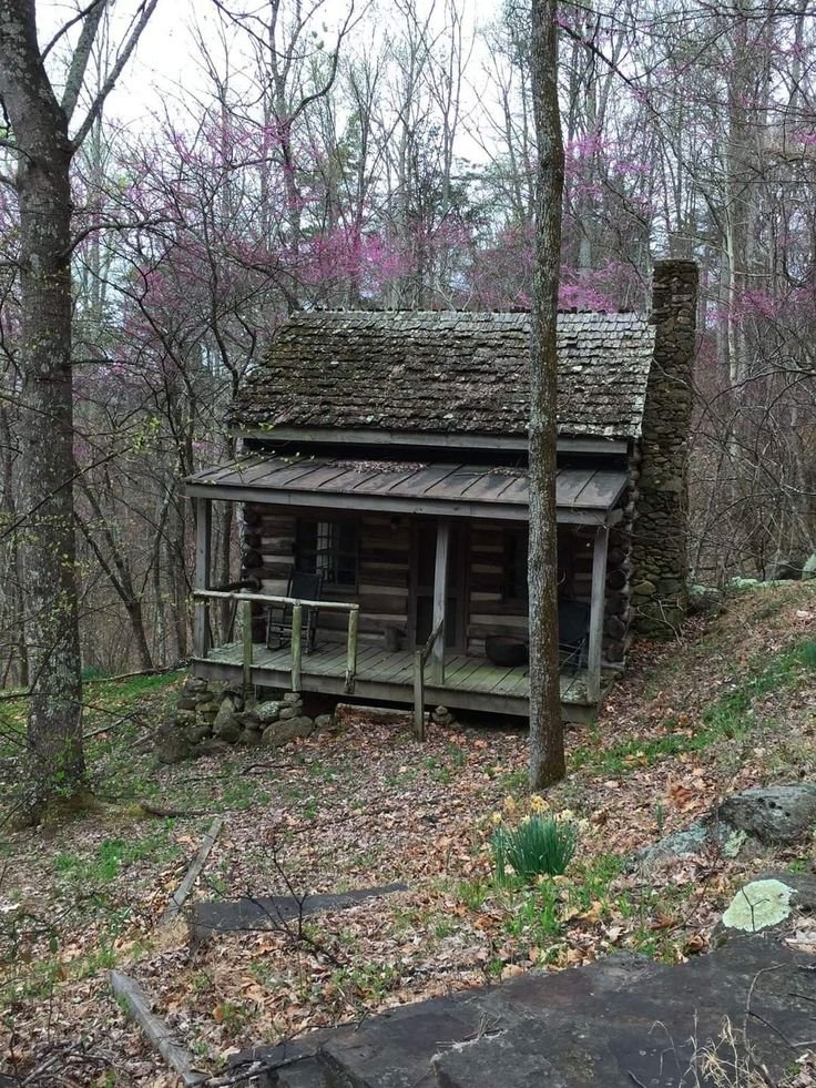 Mountain Cabins tweet media