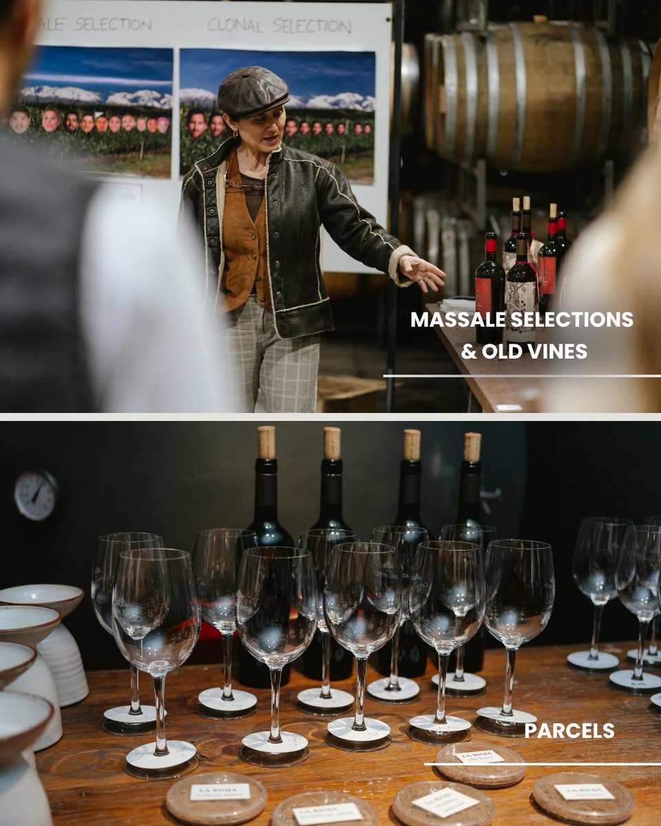 Catena Institute of Wine tweet media