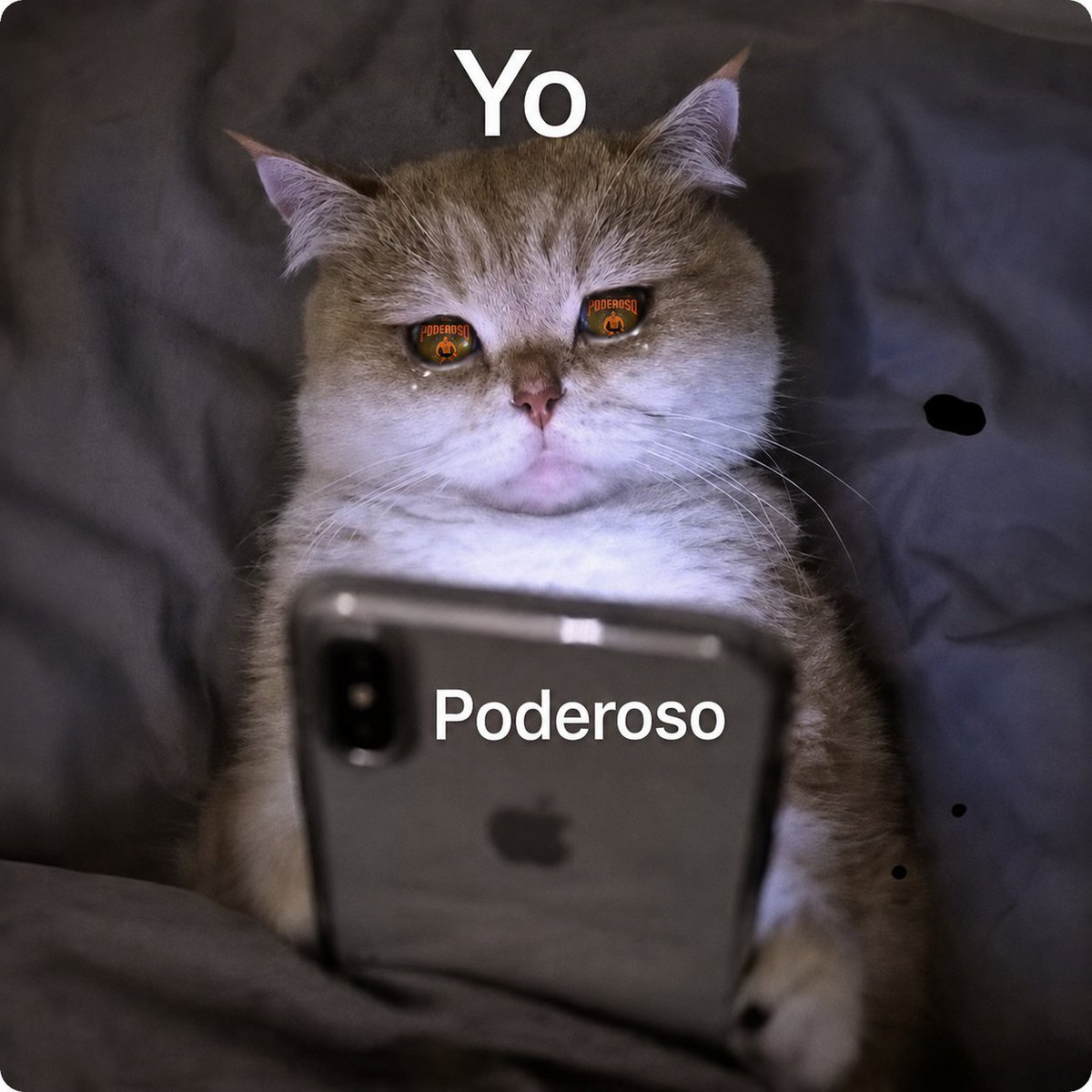 elRubsRamone's tweet photo. Día 5 sin Poderoso 
Y si a las 11 todos ponemos hablando a tu corazón de Charly Garcia para sentir que se logró llegar a viernes? 🥲 https://t.co/XRBp6b3MJT