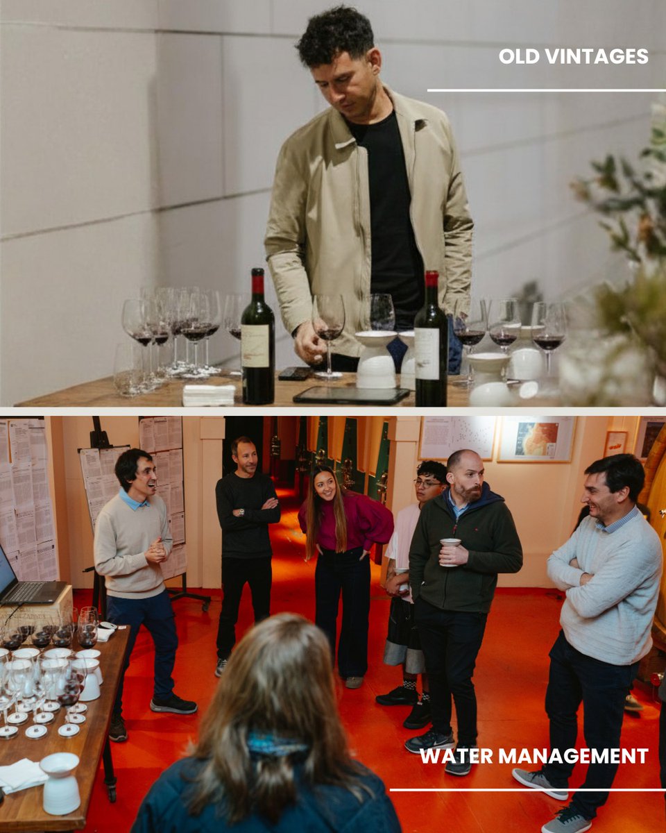 Catena Institute of Wine tweet media
