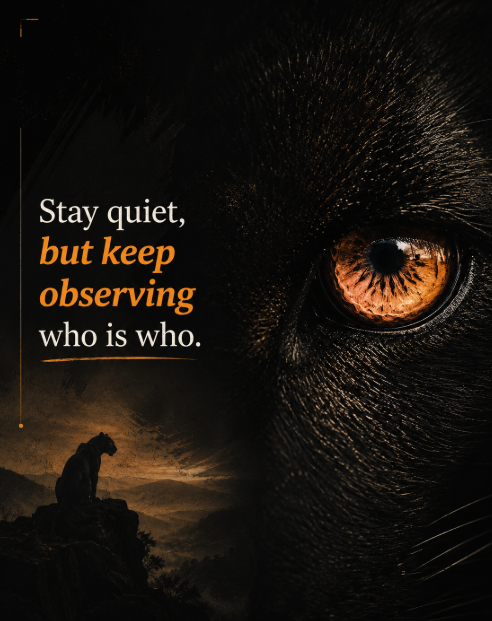 Thought Alchemy tweet media