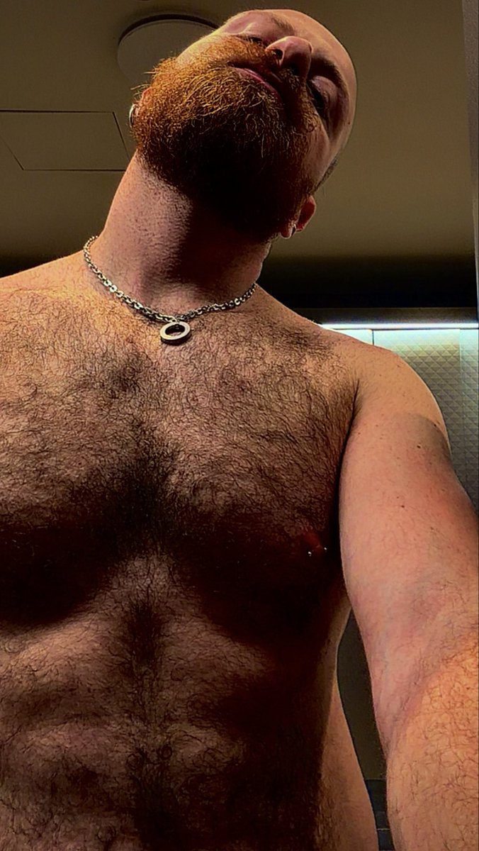 Wolf.K🐺🏳️‍🌈🎶🛫🌅🍽🥃 tweet media