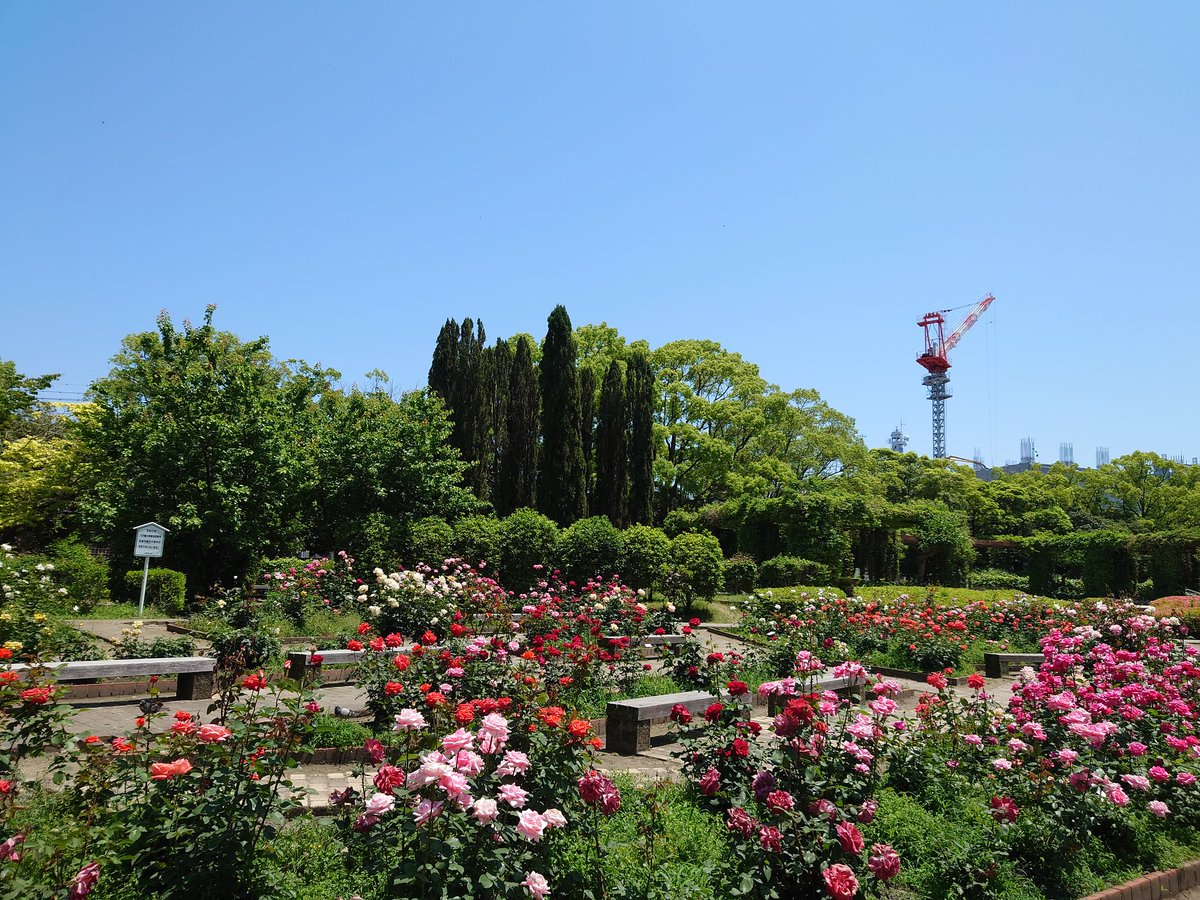 虚嘘 tweet media