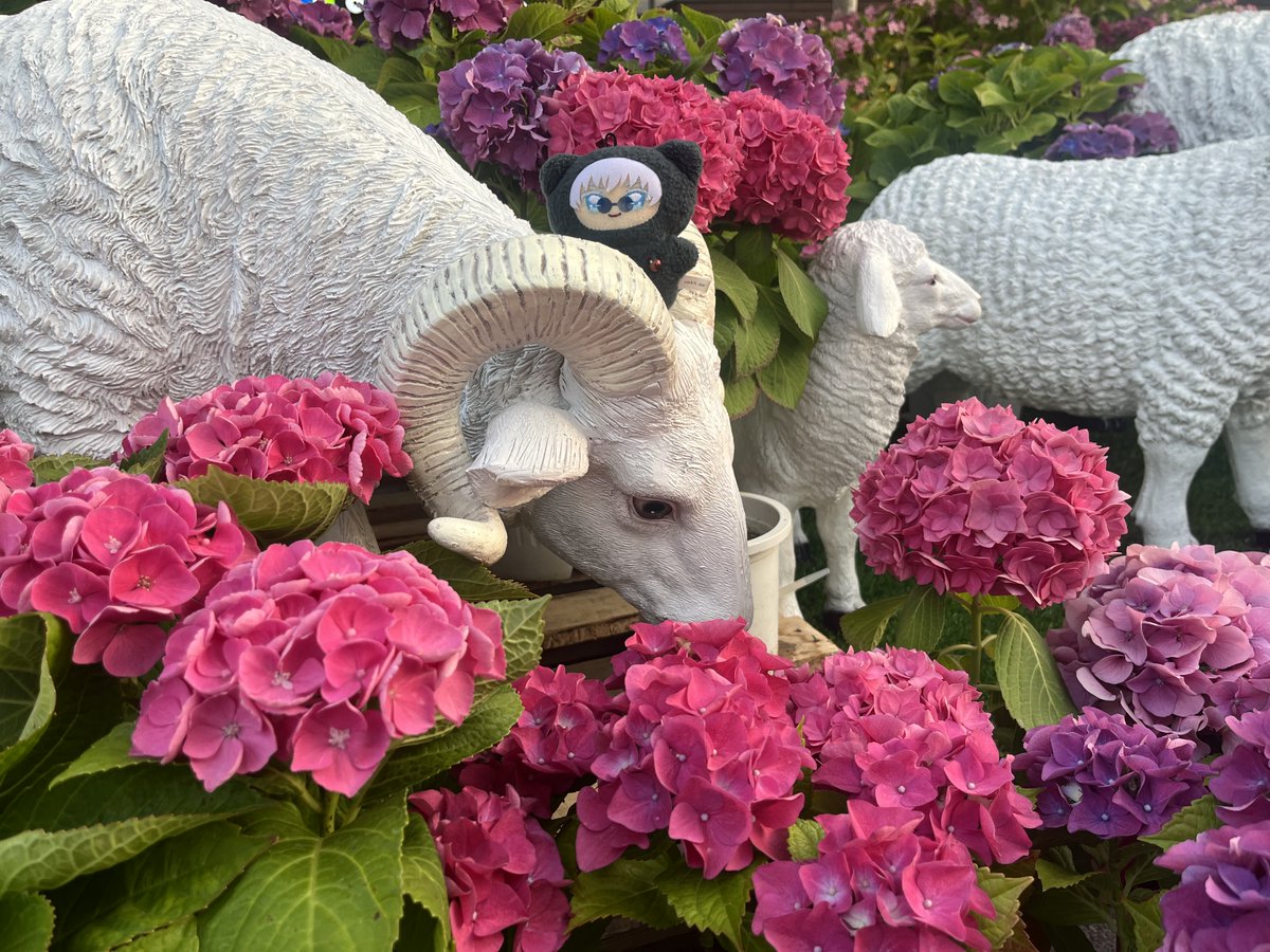 jack 쟄 tweet media