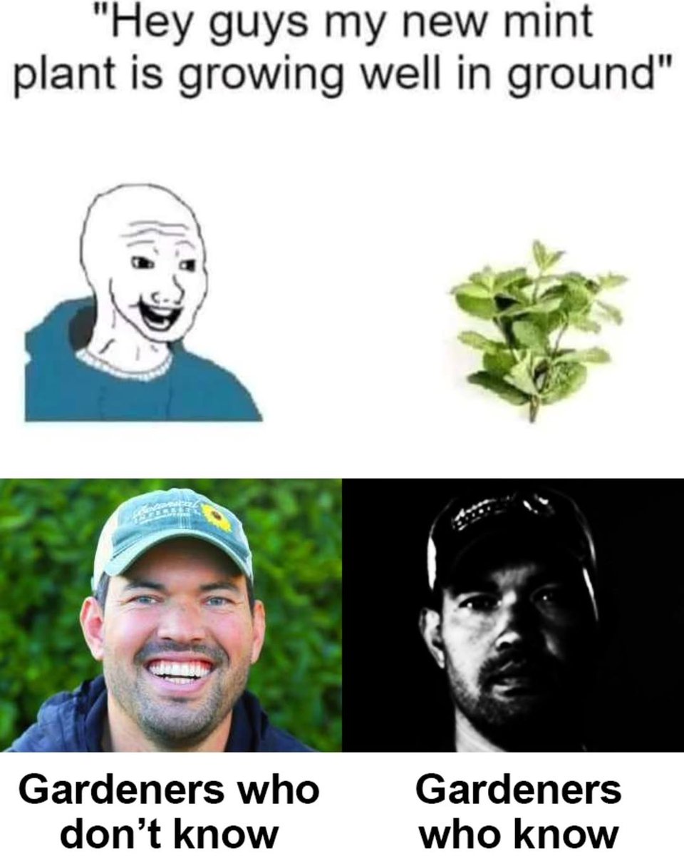Kevin → Plant Daddy tweet media