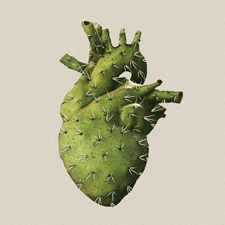 أمثال عالمية tweet media