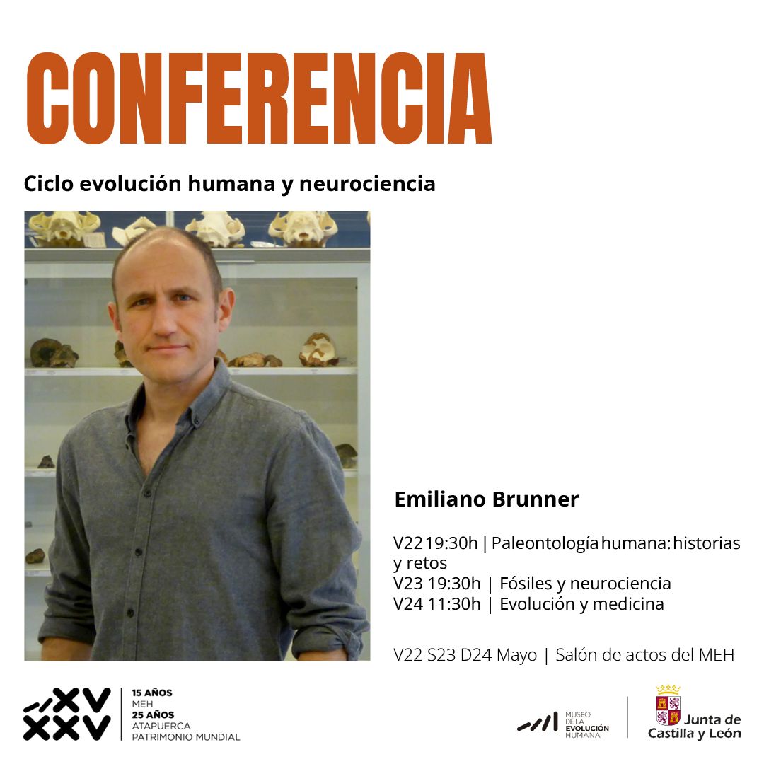 MuseoEvoluciónHumana tweet media
