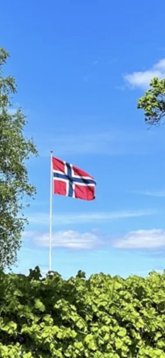 Øyvind Steinklev tweet media