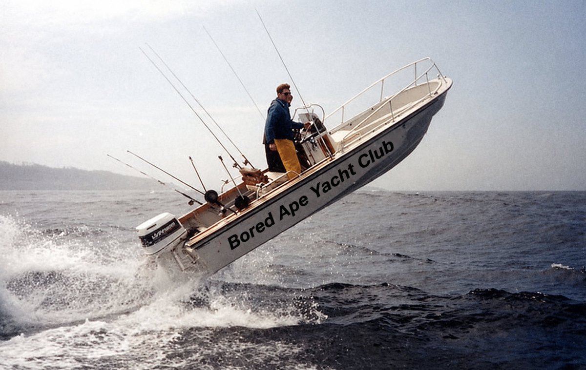 Bored Ape Yacht Club 🍌 tweet media