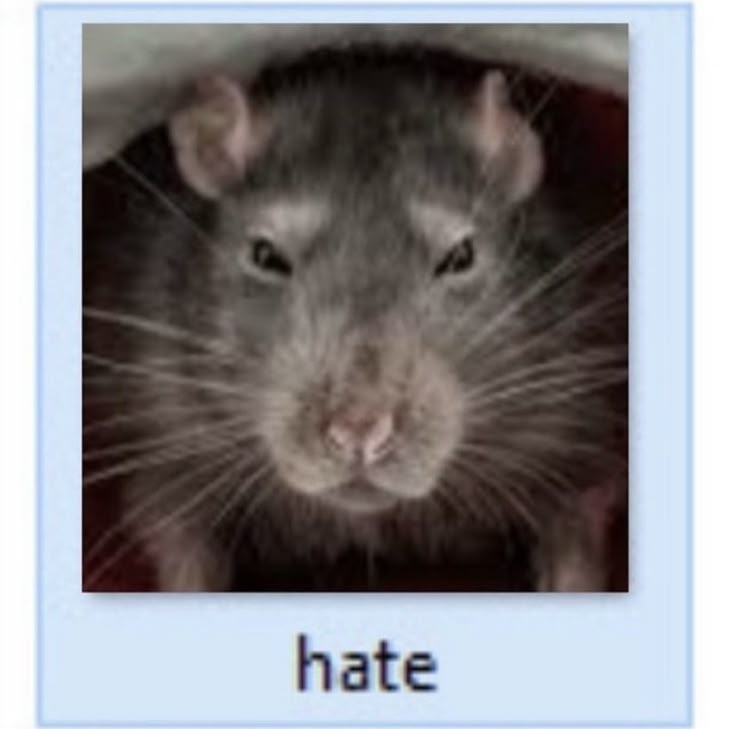 Nox Rattus ⚖️ tweet media