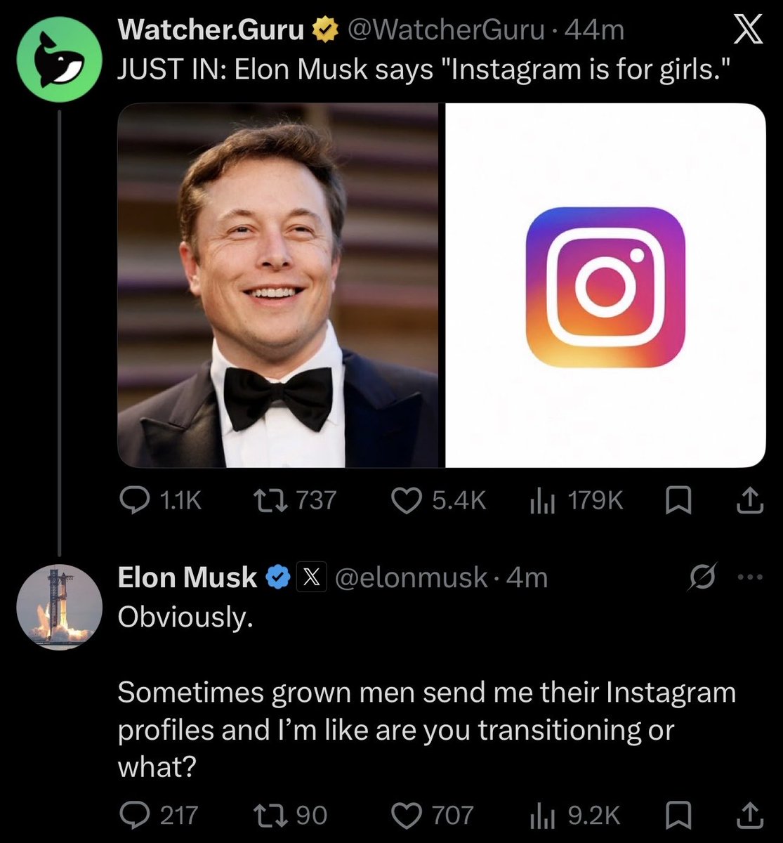 The Rabbit Hole tweet media