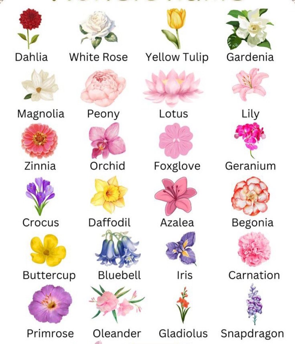 Flowers Magic tweet media