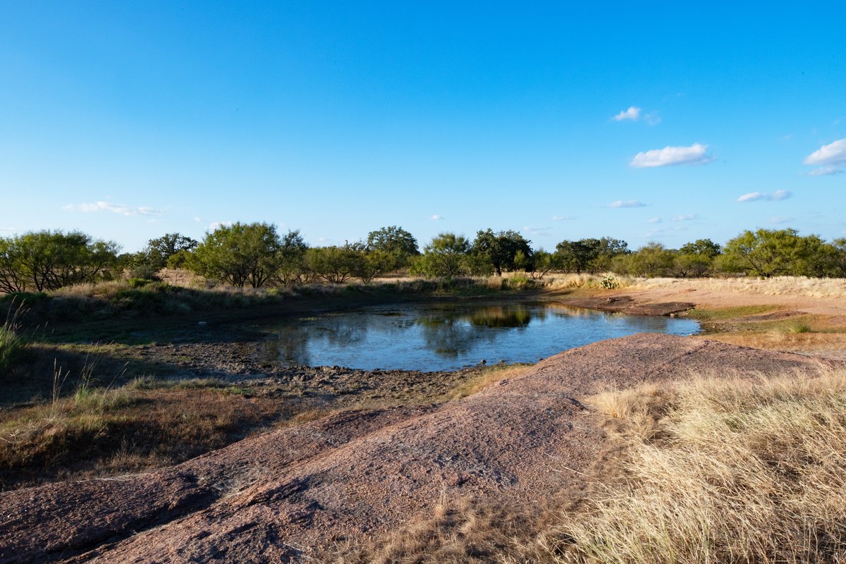 SimpsonRanches's tweet photo. FOR SALE!
The Cave H.Q. Ranch
180± Acres | Mason County, Texas
$1,413,000
Anthony Simpson at 210-854-6365
FOR MORE INFO - https://t.co/Qcsyi2ShbY
#SimpsonRanches #TexasRanches #MasonCounty #HillCountryRanch #LandForSale https://t.co/wkqC0Lduy2