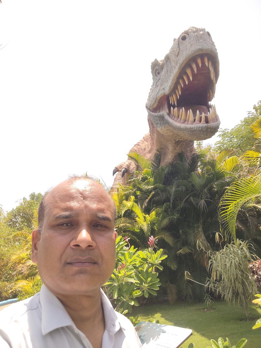 arjunsingh19778's tweet photo. Dino Trail Park, Ekta Nagar Gujarat (13/05/26 to 14/05/26) https://t.co/RgcrUBHQen