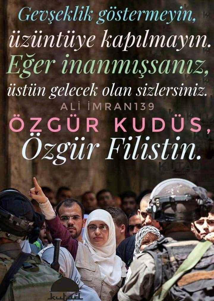 Erdoğan /أردوغان 🇹🇷🤲🇵🇸💚🇹🇷☝️ tweet media