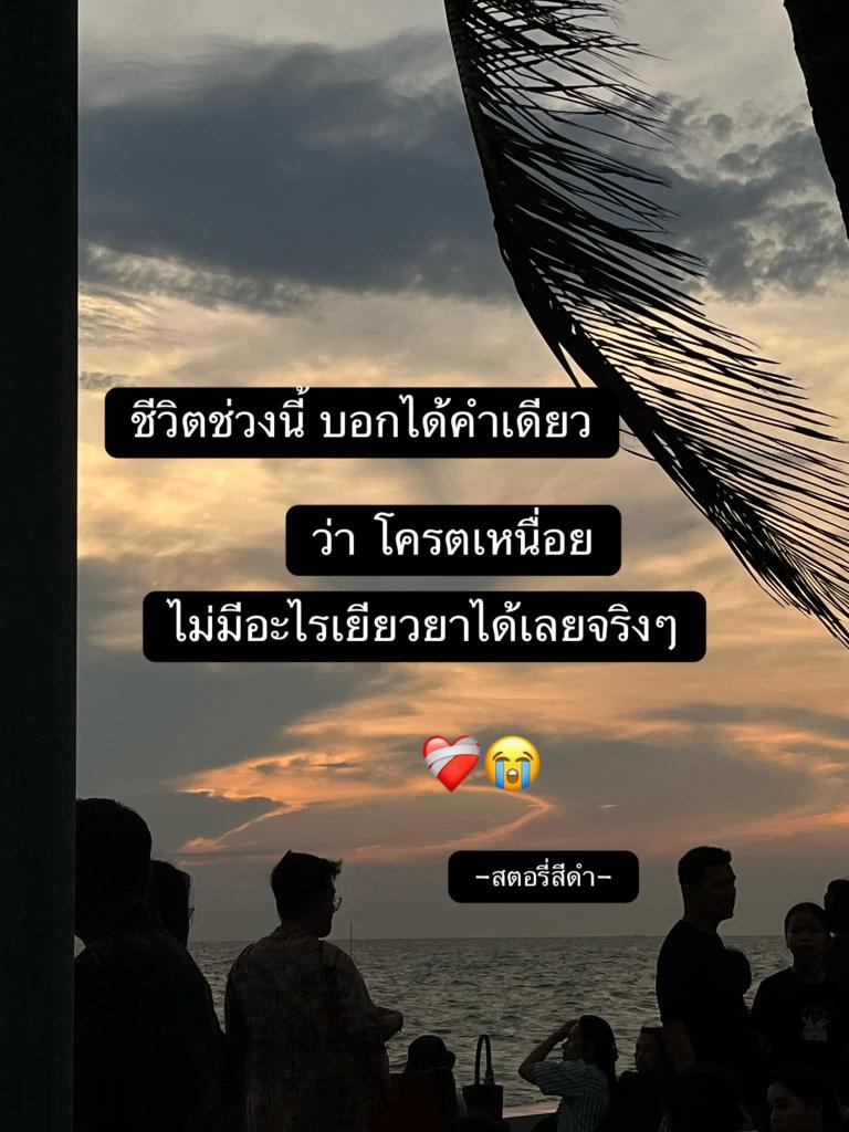 Great fun tweet media