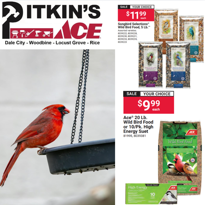 pitkin_s's tweet photo. Feed your feathered friends with bird seed from Ace! https://t.co/JCEEvtRfEQ