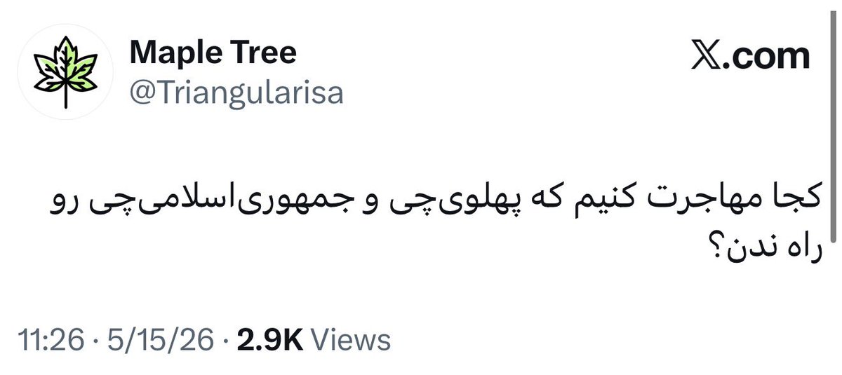 Maple Tree tweet media