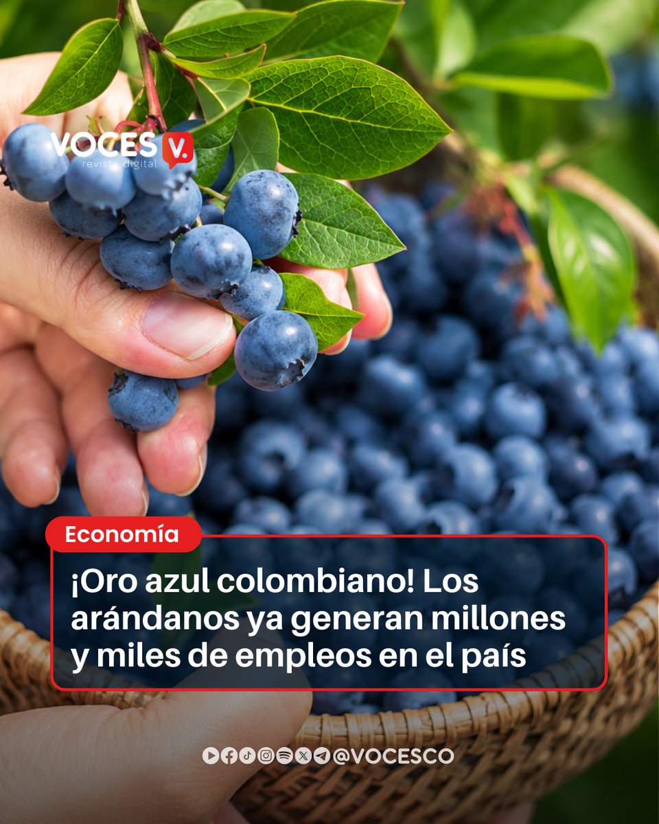Voces tweet media