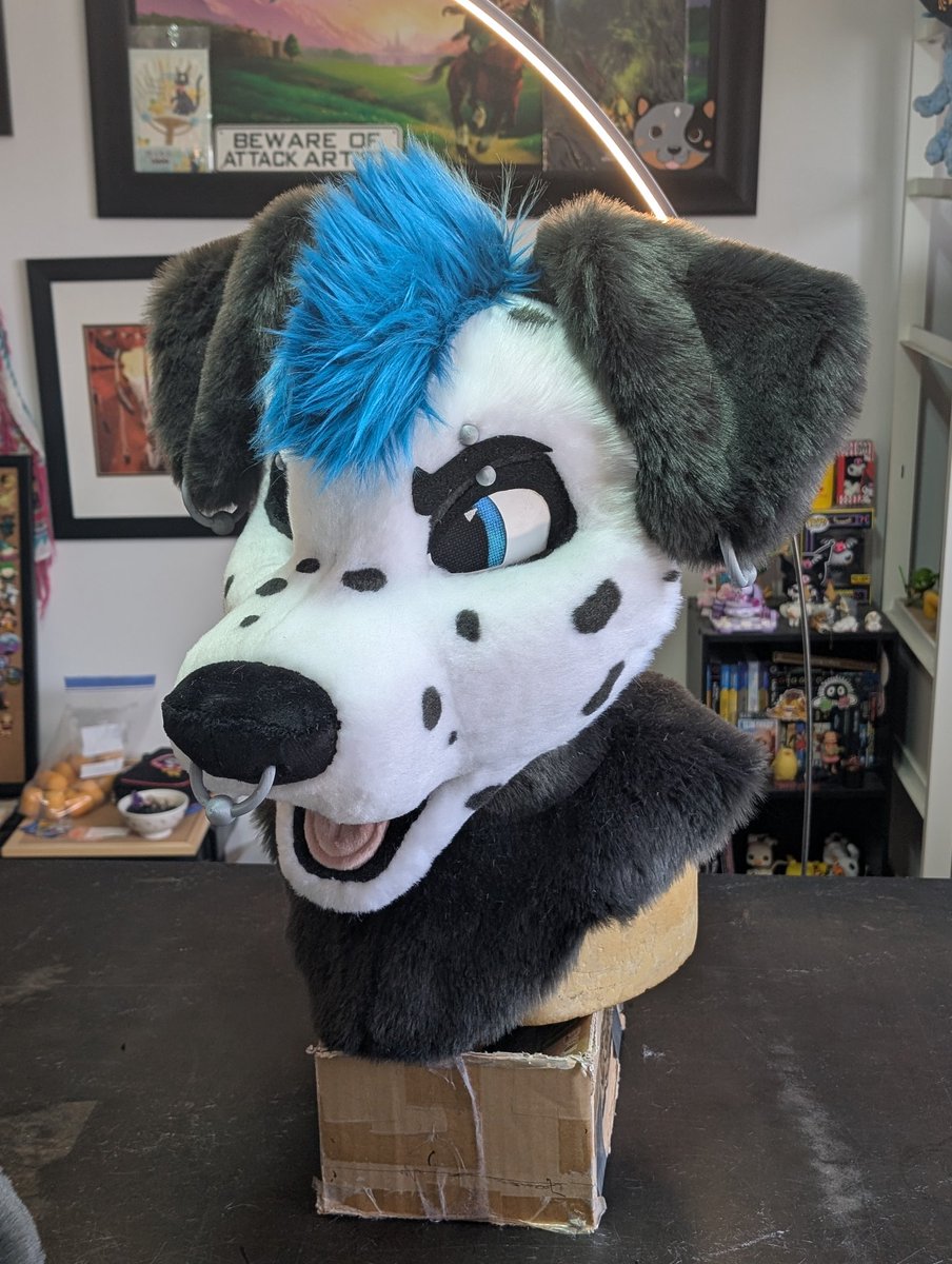 TheBurritoQueen's tweet photo. Another comm finished up! This handsome pup features 3d printed piercings, posable tongue and a magnetic hairpoof 💙🩵💙🐾

Piercings from @SpikeCoyote https://t.co/9zGwFaMXVD