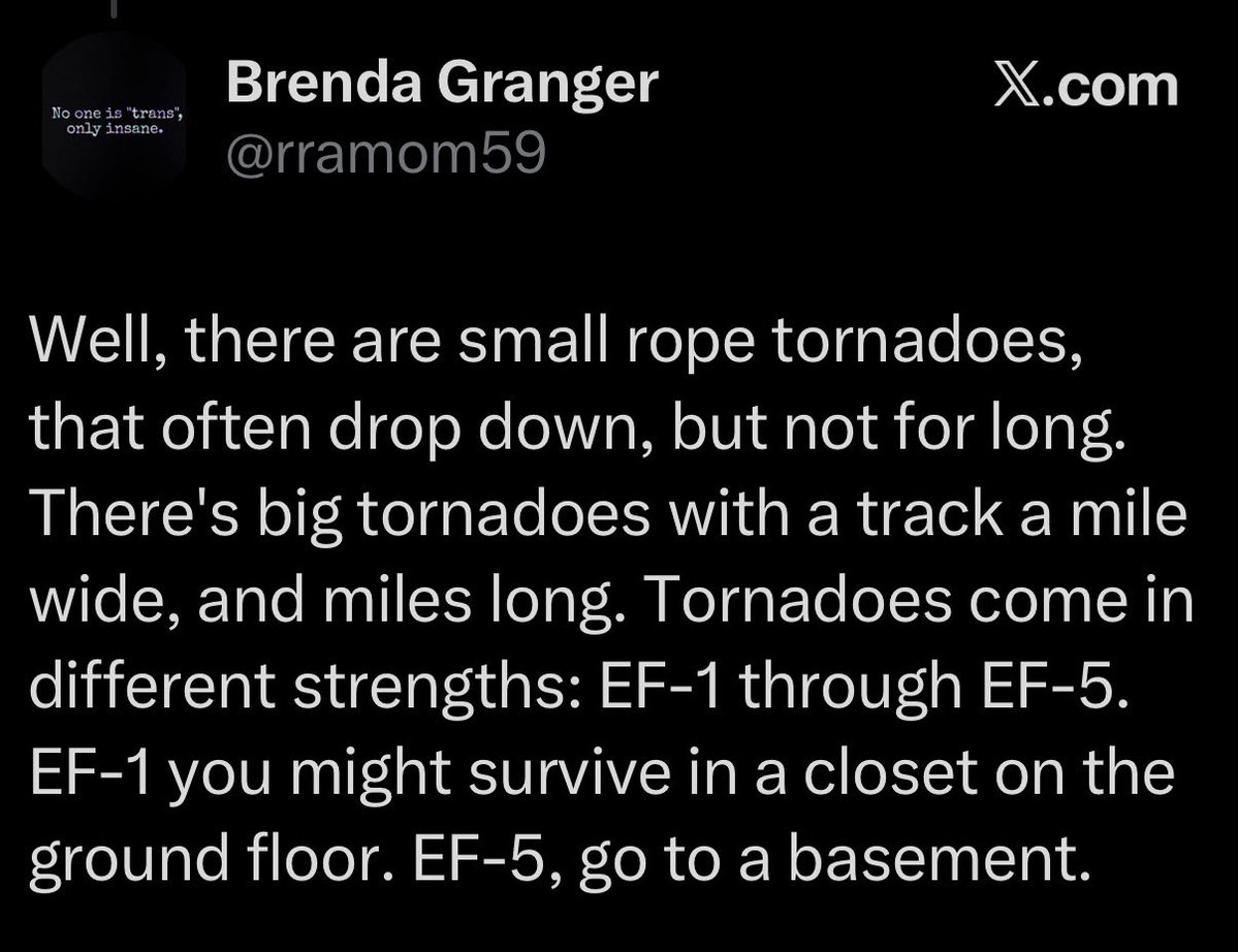 moderate risk mads 🌪️ tweet media