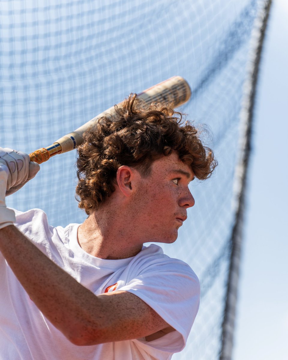 Cur Dog Baseball tweet media