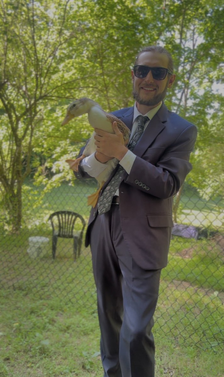 Duck tweet media