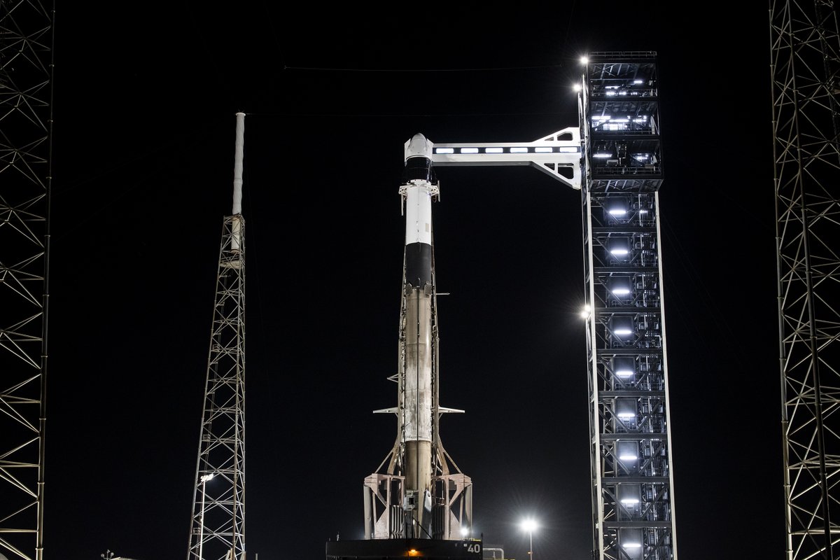 SpaceX tweet media