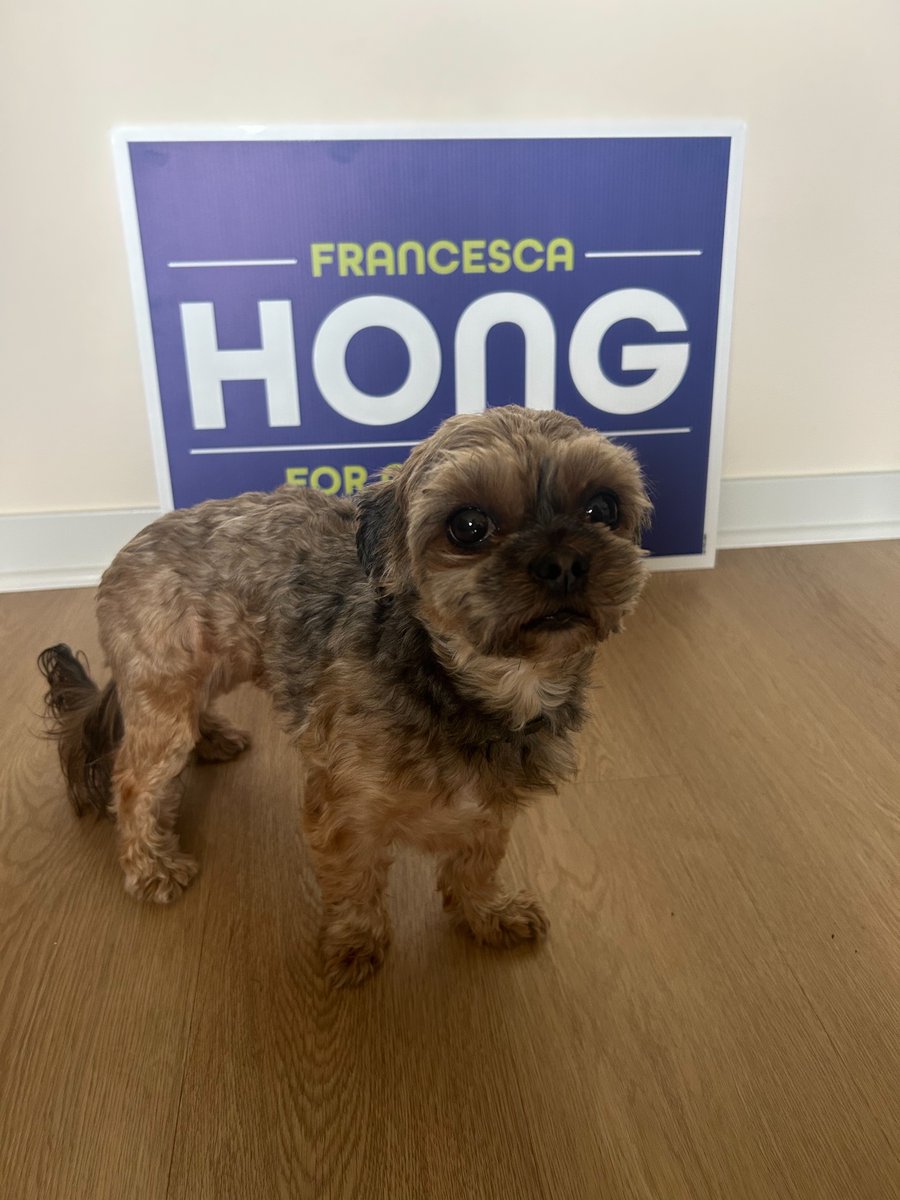 Francesca Hong For Governor tweet media