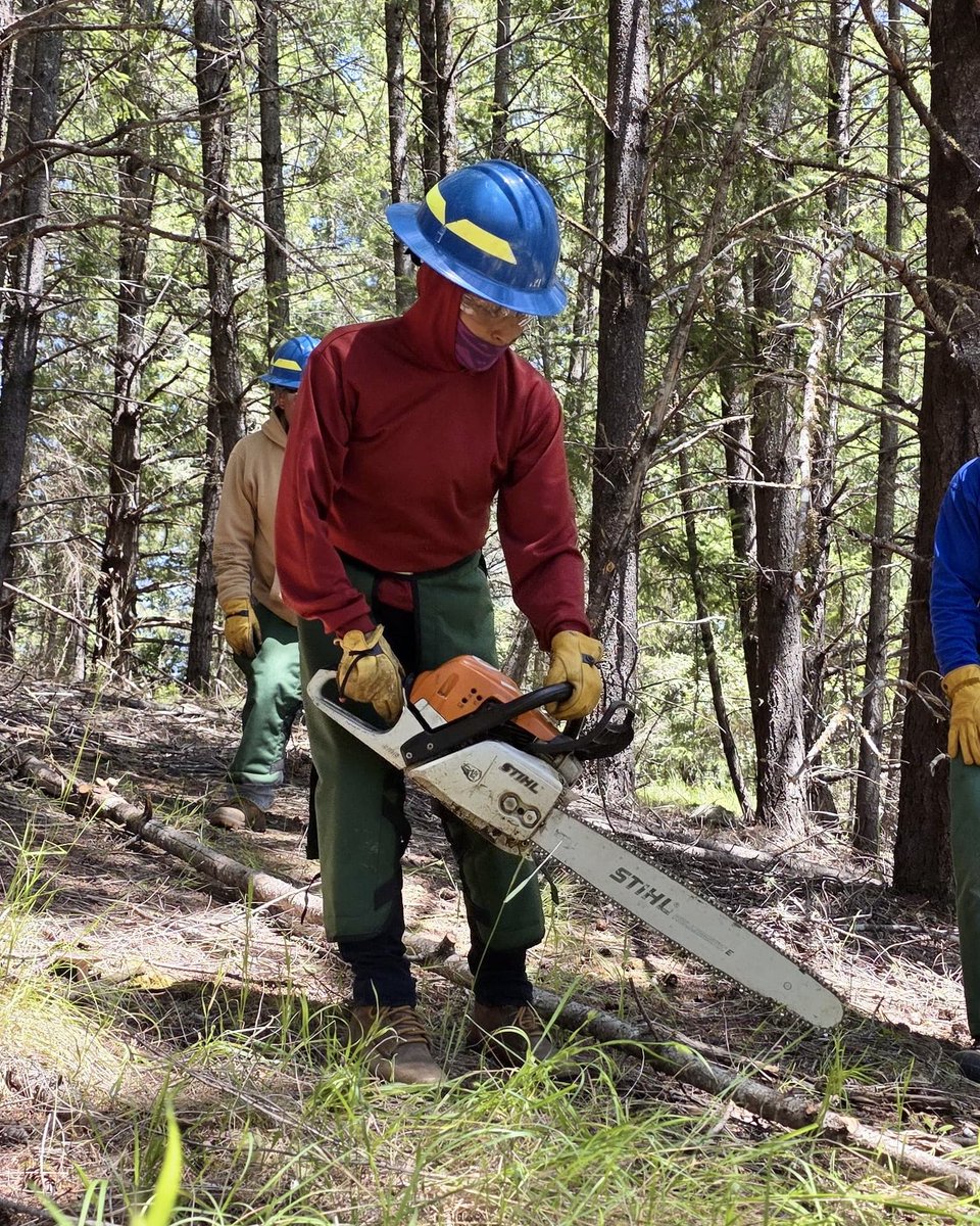 ResilienceForce's tweet photo. This week, resilience workers completed the S-112 #Wildfire Chainsaws training, part of the work that helps reduce wildfire risk and protect communities. 🔥

May is #WildfireAwarenessMonth, and this work has never been more urgent. 🚨

@northbayjwj @landpaths https://t.co/w3DmqpSzJS