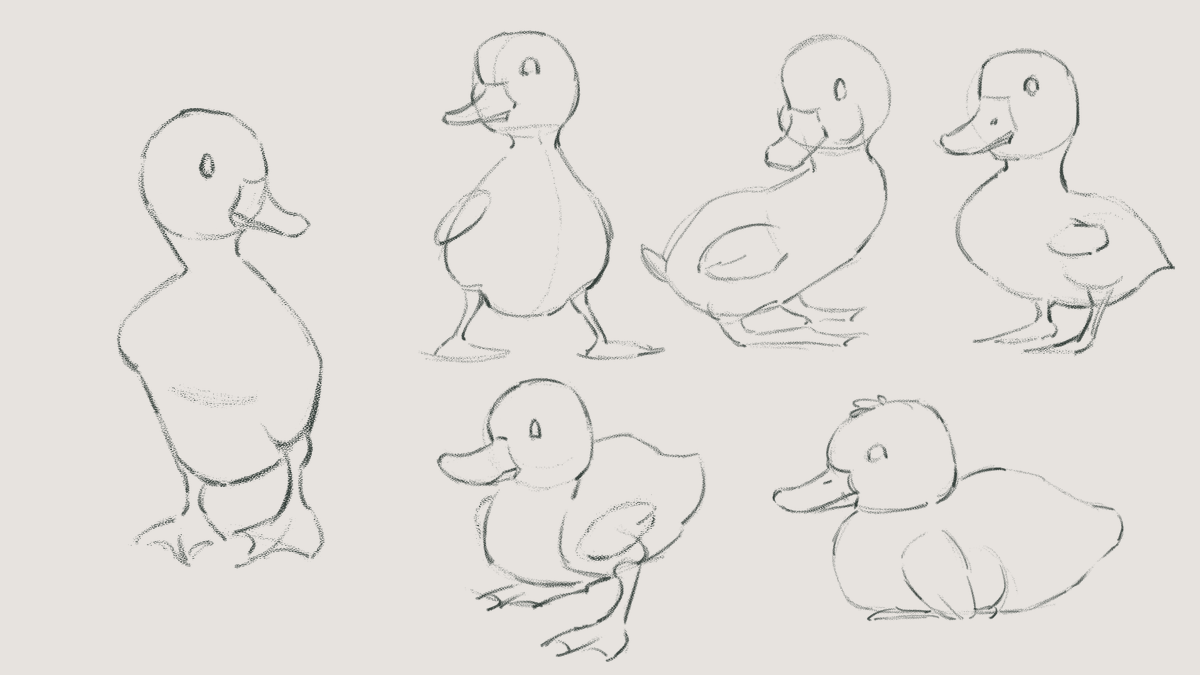 phuleart's tweet photo. Little ducks. ✍️ https://t.co/eiEulApFBR