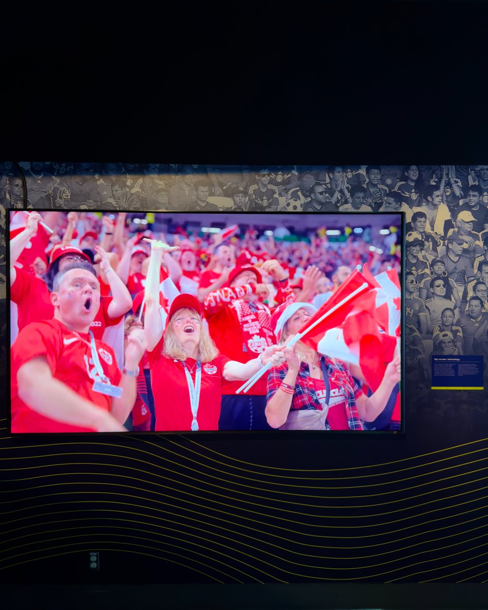 Hisense Sports tweet media