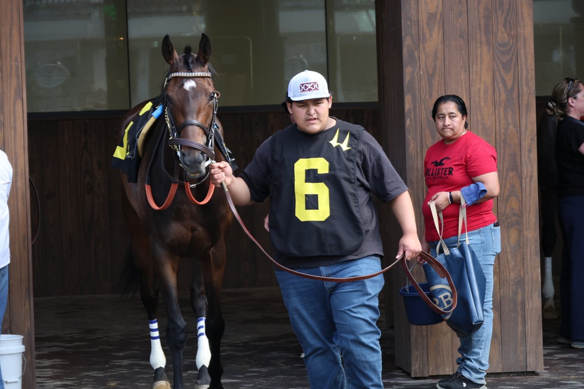 R. Brisset Thoroughbred Stable tweet media