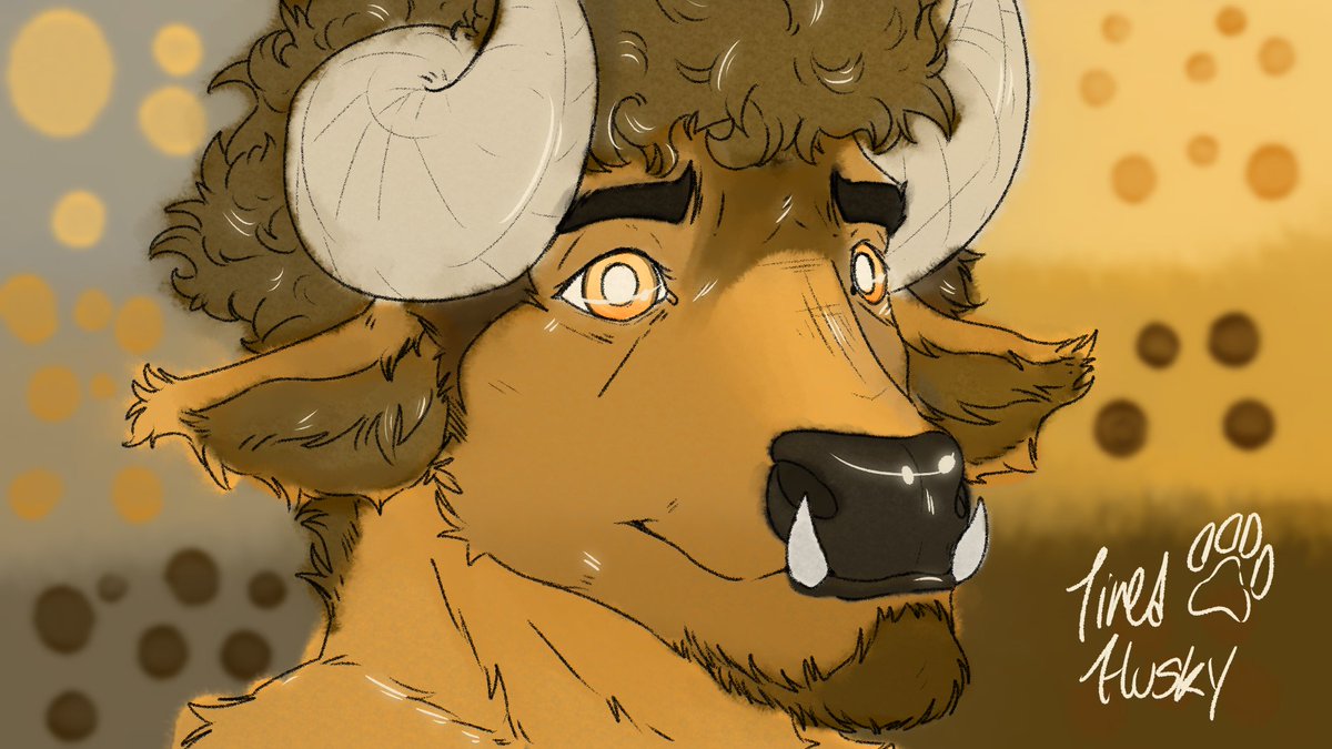 Service Bull 🐮 tweet media